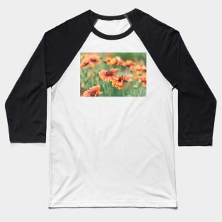 Red and Yellow Gaillardia Wildflowers Baseball T-Shirt